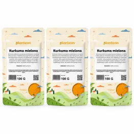 3 x Kurkuma Mielona 100 g - Planteon