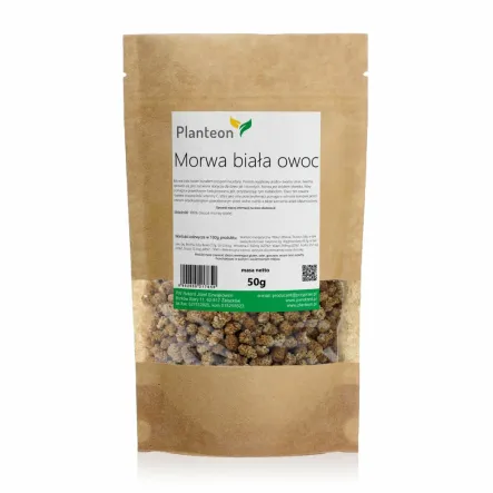 Morwa Biała Owoc 50 g - Planteon