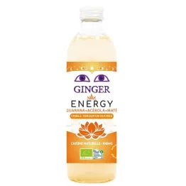 Piwo Imbirowe Energy Bezalkoholowe Bio 350 ml - Karma