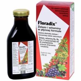 Żelazo i Witaminy Płyn 250 ml - Floradix