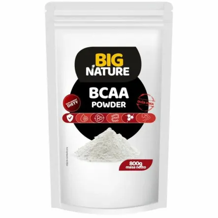 BCAA 2:1:1 800 g - Big Nature