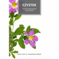 czystek