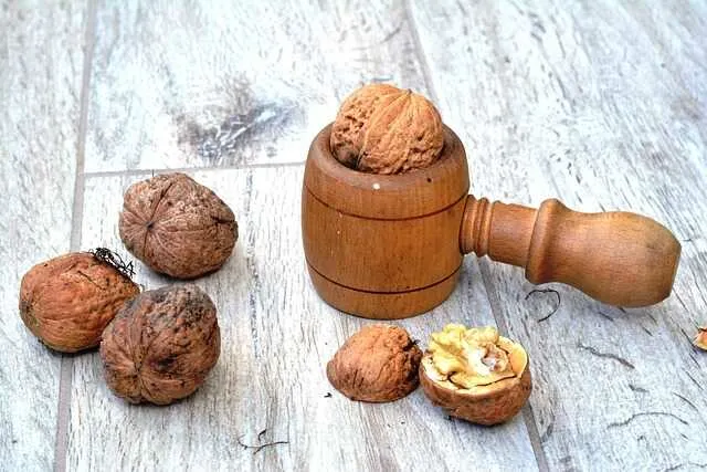 Zbliżenie na orzech włoski w skorupce – naturalne źródło tłuszczów omega-3 i przeciwutleniaczy