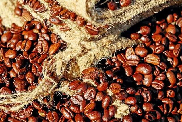 Filiżanka espresso i ziarna kawy ułożone na eleganckim stole