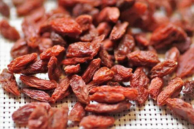 Najczęściej zadawane pytania o jagody goji