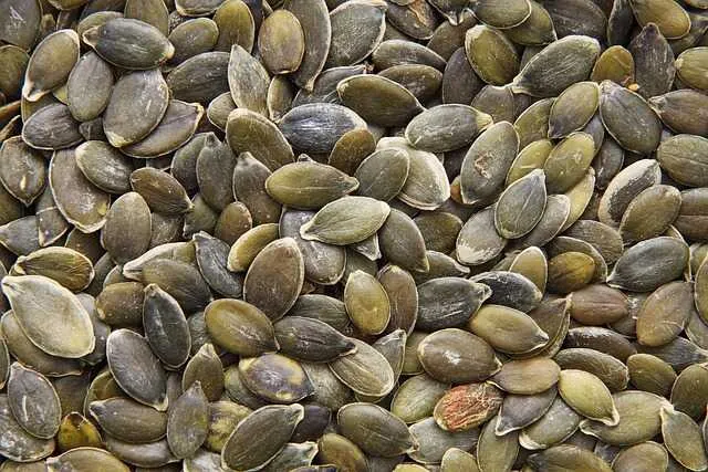 Pytania o Pestki Dyni
