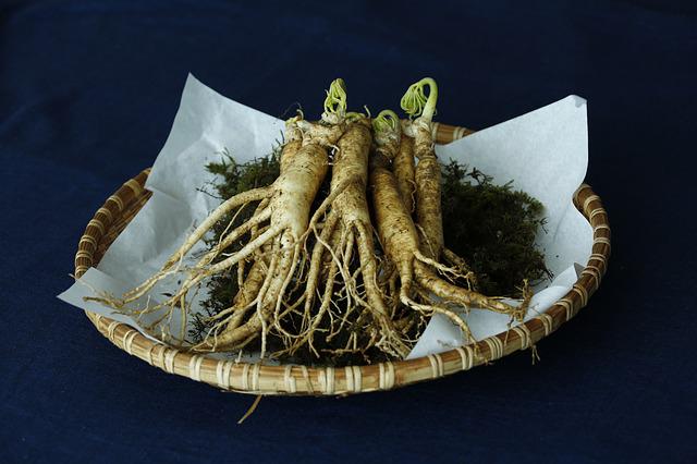 żeń-szeń
